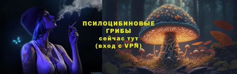 blacksprut как войти  Макушино  Галлюциногенные грибы MAGIC MUSHROOMS  где продают наркотики 